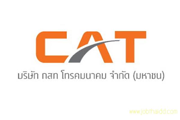 (( 50 ตำแหน่ง )) กสท โทรคมนาคม รับสมัครบุคคลเพื่อคัดเลือกเข้าทำงาน รับสมัคร 3-16 ก.พ. 2559
