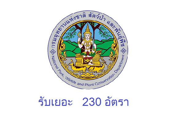 รับเยอะ 230 อัตรา ( ไม่ต้องผ่าน ภาค ก ) กรมอุทยานแห่งชาติ สัตว์ป่า และพันธุ์พืช รับสมัครพนักงานราชการ