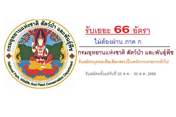 (รับ 66 อัตรา ) ไม่ต้องผ่าน ภาค ก กรมอุทยานแห่งชาติ สัตว์ป่า และพันธุ์พืช รับสมัครพนักงานราชการทั่วไป
