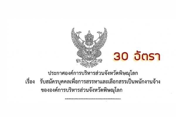 ​องค์การบริหารส่วนจังหวัดพิษณุโลก รับสมัครบุคคลเพื่อสรรหาและเลือกสรรเป็นพนักงานจ้าง 30 อัตรา