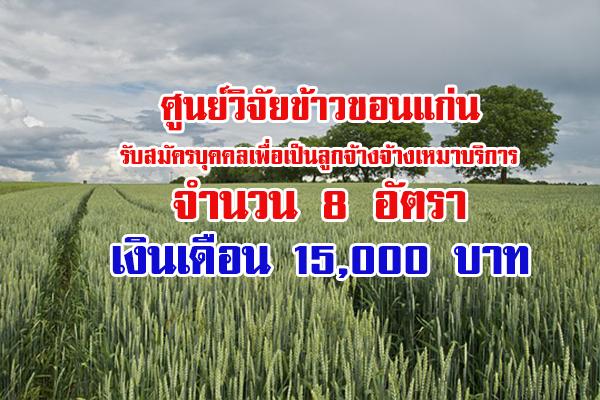 (เงินเดือน 15,000 บาท ) ศูนย์วิจัยข้าวขอนแก่นรับสมัครบุคคลเพื่อเป็นลูกจ้างจ้างเหมาบริการ 8 อัตรา