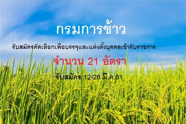 กรมการข้าว รับสมัครคัดเลือกเพื่อบรรจุและแต่งตั้งบุคคลเข้ารับราชการ  21 อัตรา รับสมัคร 12-26 มี.ค.61