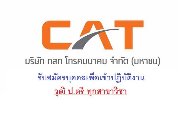 (ป.ตรี ทุกสาขาวิชา)กสท โทรคมนาคม รับสมัครบุคคลเพื่อเข้าปฏิบัติงาน เปิดรับสมัคร 15 มกราคม - 8 กุมภาพันธ์ 2562