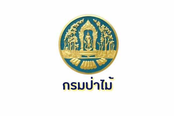 ​กรมป่าไม้ รับสมัครบุคคลเพื่อเลือกสรรเป็นพนักงานราชการทั่วไป ตั้งแต่วันที่ 11 - 15 กุมภาพันธ์ 2562