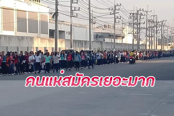 ด่วน “Fujikura”โรจนะ รับฝ่ายผลิต 400 อัตรา แค่เปิดสมัครวันแรก คนสมัครเยอะมาก