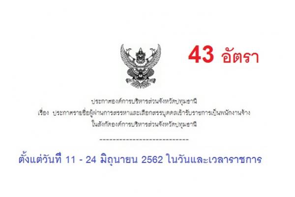 อบจ.ปทุมธานี รับสมัครบุคคลเพื่อสรรหาและเลือกสรรเป็นพนักงานจ้าง 43 อัตรา