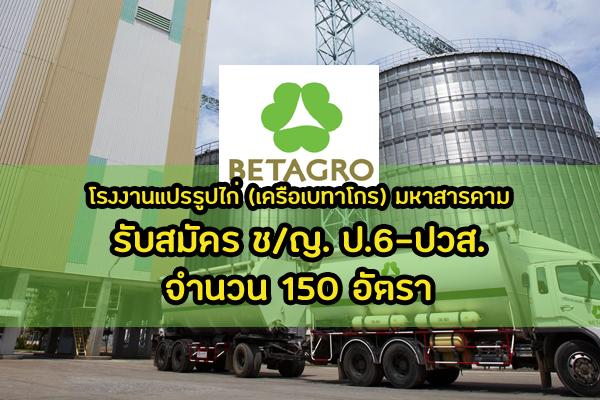 โรงงานแปรรูปไก่ (เครือเบทาโกร) มหาสารคาม รับสมัคร ช/ญ. ป.6-ปวส. จำนวน 150 อัตรา