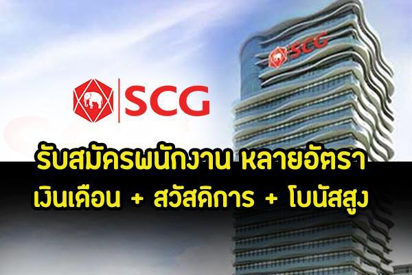 ​(สมัครงาน SCG ) บริษัท ปูนซิเมนต์ไทย จำกัด (มหาชน) รับสมัครพนักงานหลายอัตรา อัพเดทตำแหน่งว่าง