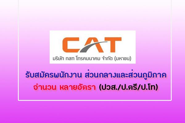 กสท โทรคมนาคม จำกัด (มหาชน) รับสมัครบุคคล เพื่อปฏิบัติงานในส่วนกลาง และส่วนภูมิภาค หลายอัตรา