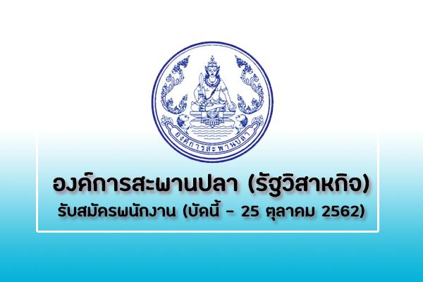องค์การสะพานปลา (รัฐวิสาหกิจ) รับสมัครพนักงาน รับสมัครตั้งแต่บัดนี้ - 25 ตุลาคม 2562