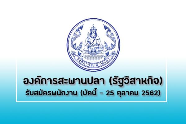 ​องค์การสะพานปลา (รัฐวิสาหกิจ) รับสมัครพนักงาน รับสมัครตั้งแต่บัดนี้ - 25 ตุลาคม 2562