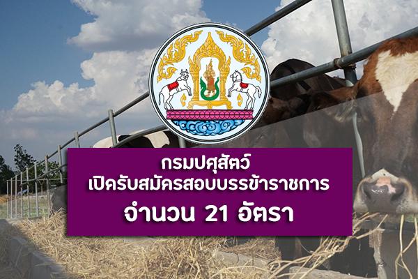 กรมปศุสัตว์ เปิดรับสมัครสอบบรรจุเข้ารับราชการ จำนวน 21 อัตรา ตั้งแต่วันที่ 25 พฤศจิกายน - 17 ธันวาคม 2562