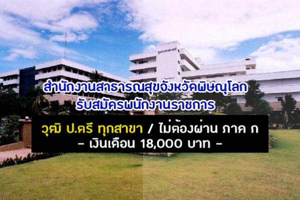 สำนักงานสาธารณสุขจังหวัดพิษณุโลก รับสมัครบุคคลเพื่อเลือกสรรเป็นพนักงานราชการทั่วไป 18-22 พ.ย. 62