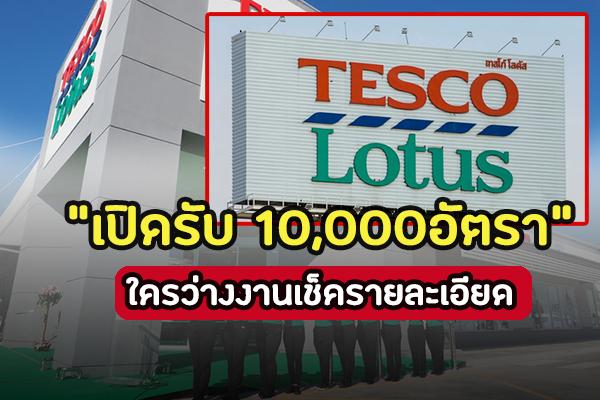 "เปิดรับ 10,000อัตรา" เทสโก้ โลตัส เตรียมช่วยคนตกงาน เปิดรับสมัครทั่วประเทศ คนสูงวัยก็สมัครได้