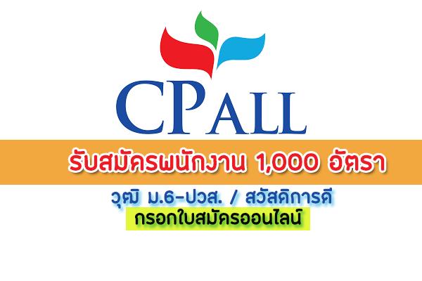 Job Cp All - บริษัท ซีพี ออลล์ จํากัด (มหาชน) รับสมัครพนักงาน 1,000