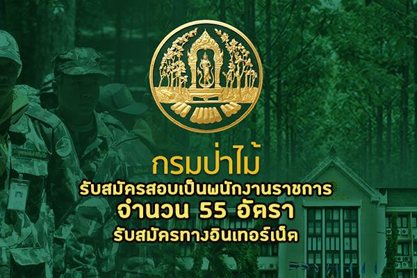 กรมป่าไม้ เปิดรับสมัครสอบเป็นพนักงานราชการทั่วไป 55 อัตรา รับสมัครทางอินเทอร์เน็ต