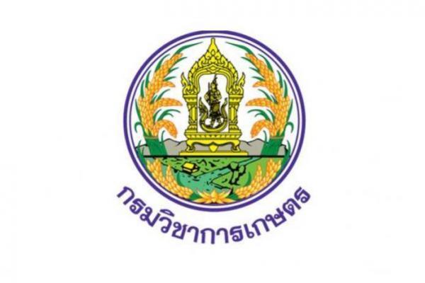 กรมวิชาการเกษตร เปิดรับสมัครสอบบรรจุเข้ารับราชการ 7 อัตรา วุฒิ ปวส.ทุกสาขา สมัครทางอินเทอร์เน็ต