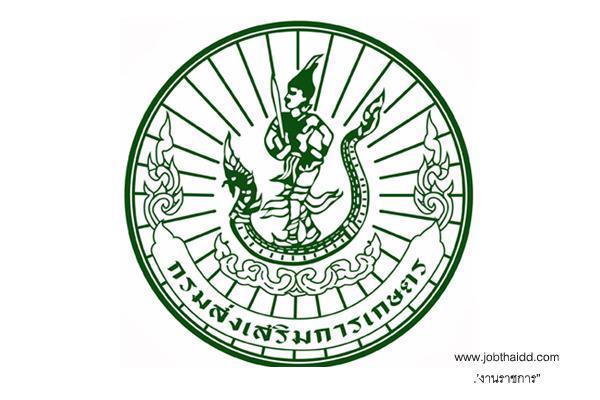 กรมส่งเสริมการเกษตร รับสมัครพนักงานราชการทั่วไป(ส่วนกลาง) 13 อัตรา ตั้งแต่วันที่ 18 - 24 กรกฎาคม 2568