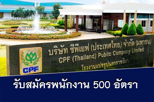 สมัครงาน โรงงานแปรรูปเนื้อไก่ อ.โชคชัย จ.นครราชสีมา รับสมัคร 500 อัตรา สมัครง่าย สัมภาษณ์ทันที