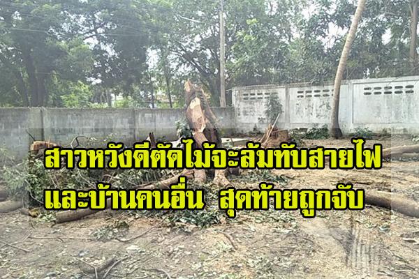 [ไทยแลนด์]สาวหวังดีตัดไม้จะล้มทับสายไฟและบ้านคนอื่น สุดท้ายถูกจับ