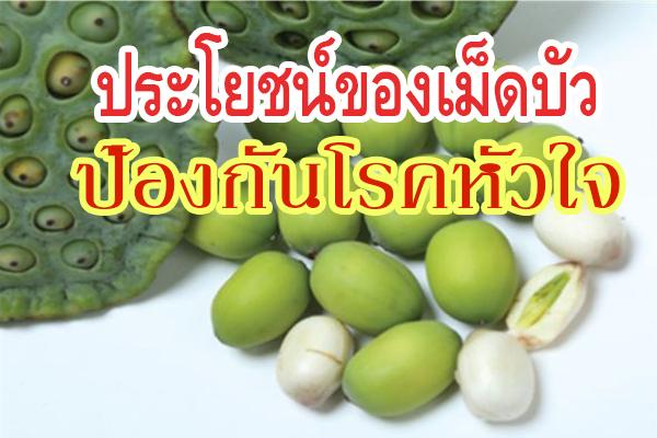 ประโยชน์ของเม็ดบัว : ป้องกันโรคหัวใจ