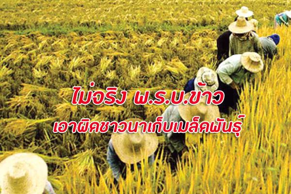 ไม่จริง !! พ.ร.บ.ข้าว เอาผิดชาวนาเก็บเมล็ดพันธุ์พืช ลั่นเอาผิดเฉพาะนายทุนที่ไม่ขึ้นทะเบียนให้ถูกต้องเท่านั้น