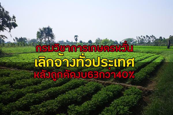 ​กรมวิชาการเกษตรหวั่น เลิกจ้างทั่วประเทศ หลังถูกตัดงบ63กว่า40%