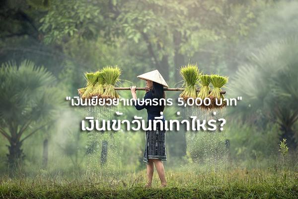 ​เงินเยียวยาเกษตรกร 5,000 บาท เงินเข้าวันที่เท่าไหร่? | เช็คเงินเยียวยาเกษตรกร