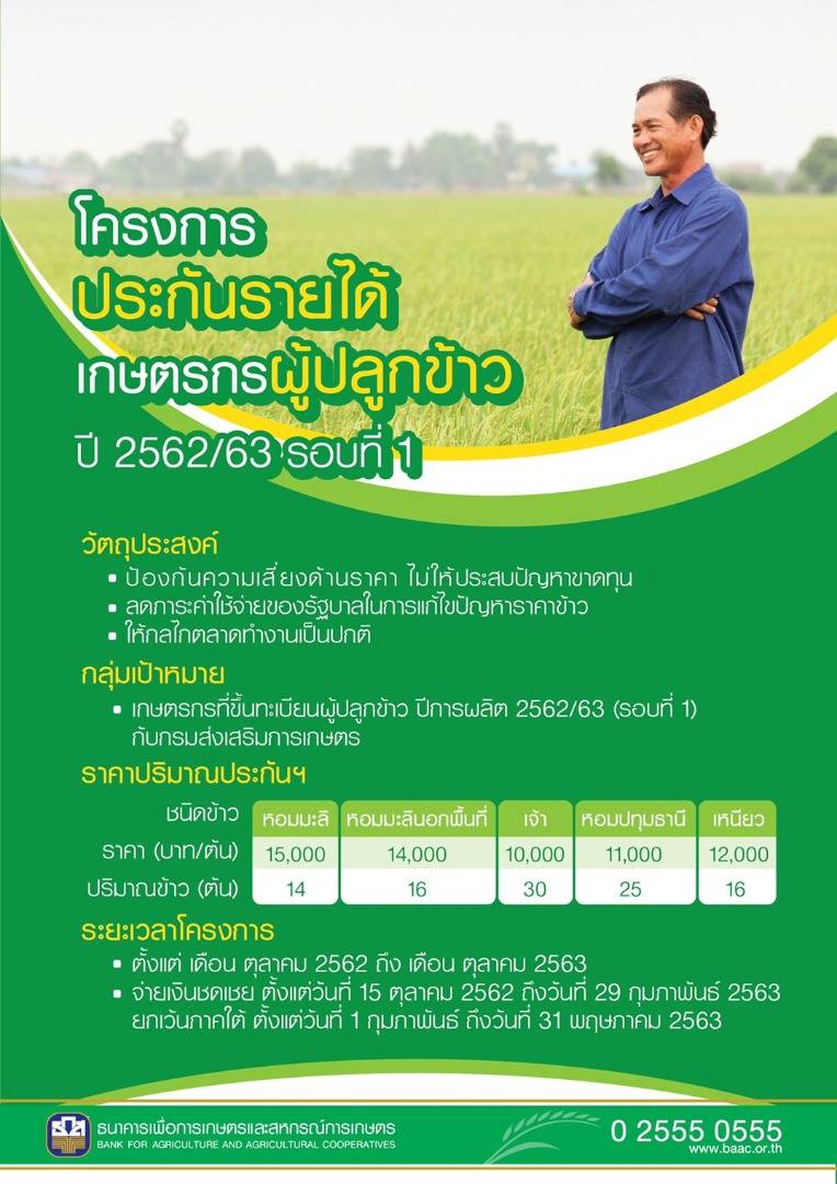 ตรวจสอบเงินประกันราคาข้าว 2563